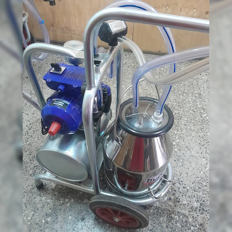 Bereket portable single-bucket milking machine